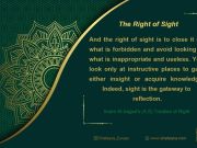 The Right of Sight: Commentary on Imam Sajjad’s (AS) Treaties of Right (Part 5)