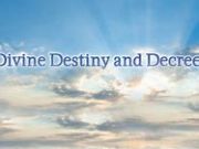 How can a believer deal with Qadha and Qadr? How can a believer deal with Qadha and Qadr?