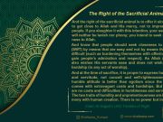 The Right of the Sacrificial Animal: Commentary on Imam Sajjad’s (AS) Treaties of Right (Part 14)