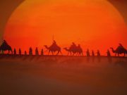 آغاز ماه صفر و ورود کاروان اسرای کربلا به شام آغاز ماه صفر و ورود کاروان اسرای کربلا به شام
