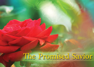 Video / The Promised Savior