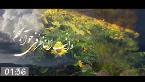 Video / The Prayer of Eid al-Adha
